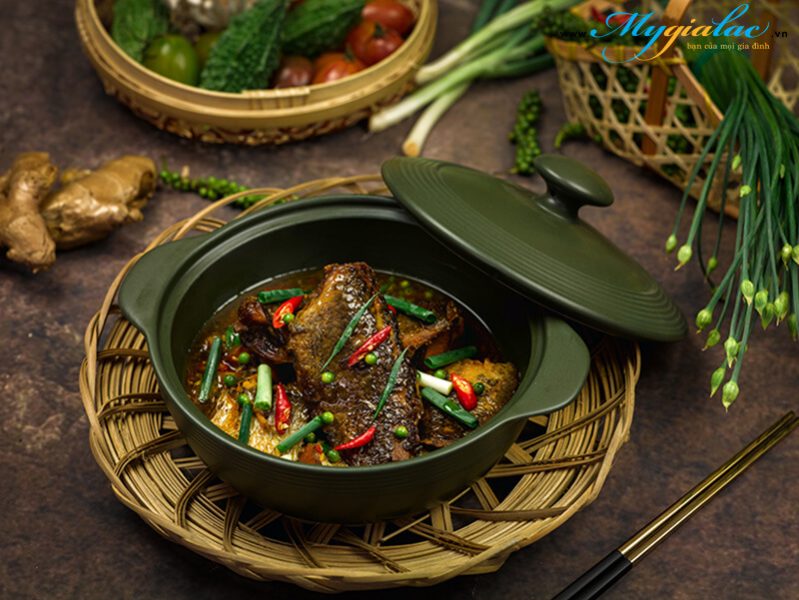 Noi Su Duong Sinh 1.1l