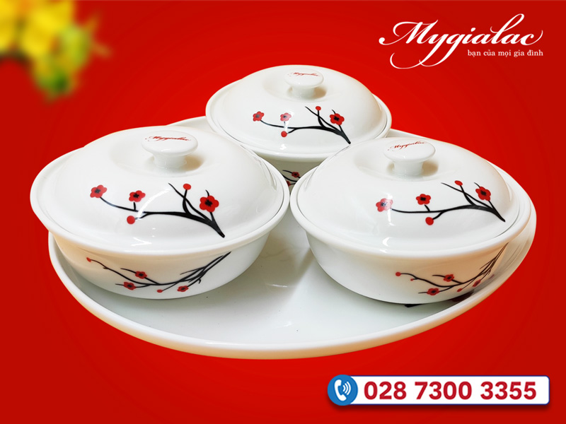 Bộ Thố Mứt Tết Hoa Mai
