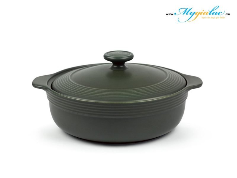Nồi dưỡng sinh hai quai 2.6L có nắp 1