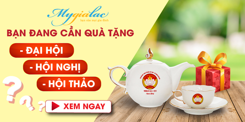 Banner Qua Tang Dai Hoi Hoi Nghi 1