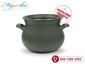 Noi Duong Sinh Than Bau 71 L Nap Bep Tu Healthycook Xanh Reu 2