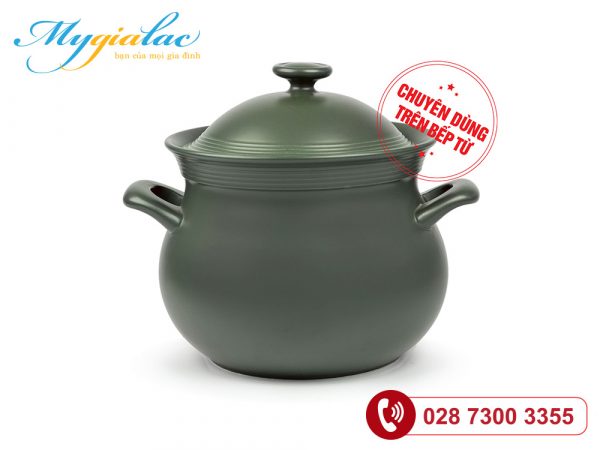 Noi Duong Sinh Than Bau 71 L Nap Bep Tu Healthycook Xanh Reu