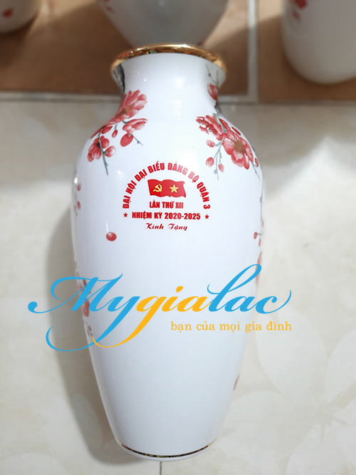 Bình hoa in logo làm quà tặng hội nghị Binh Hoa In Logo Dai Hoi
