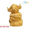 Tuong Trau Hanh Phuc Dat Vang Minh Long